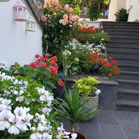 Gartenstudio Anila I. Und Ii. * Cochem