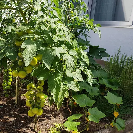 Gartenstudio Anila * Cochem