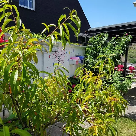 Gartenstudio Anila Apartman Cochem