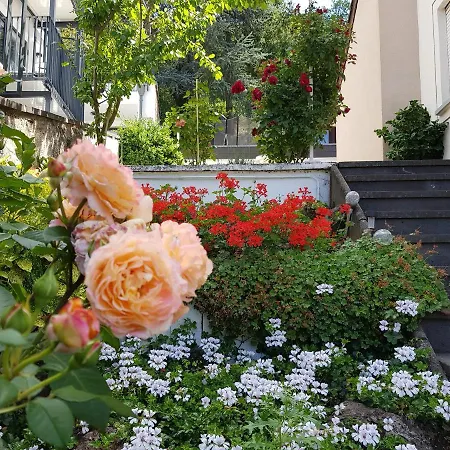 Gartenstudio Anila I. Und Ii. * Cochem