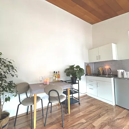 Gartenstudio Anila Lägenhet Cochem