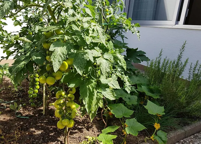 Gartenstudio Anila * Commune fusionnée de Cochem-Land