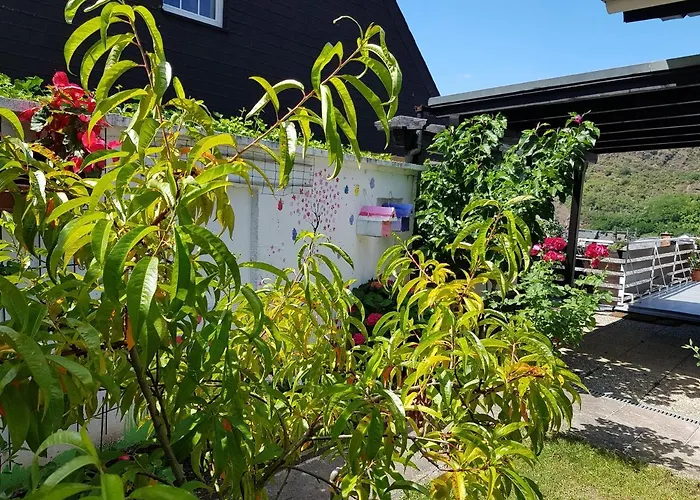 Gartenstudio Anila Apartament Cochem